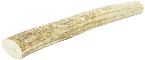 Deer Antler