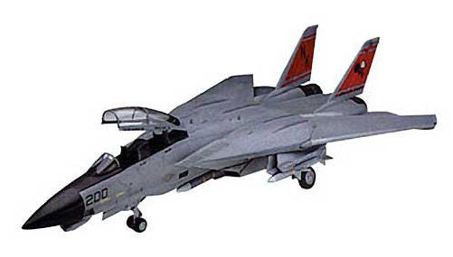 1/48 F-14D Super Tomcat